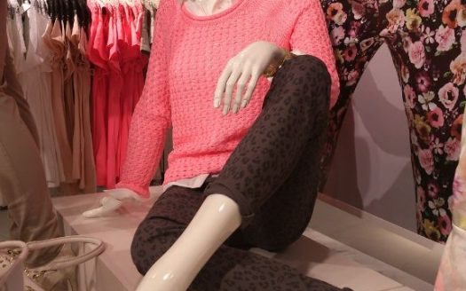 4072 – AFFAIRE DE RESTAURATION RAPIDE SUD LANDES